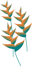 heliconia graphic 2