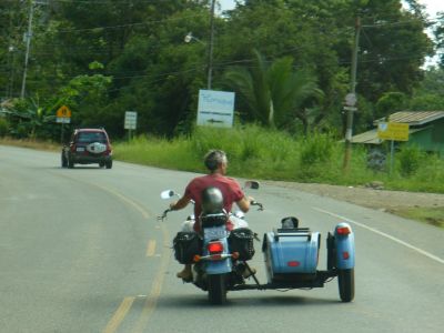 dog in a side car