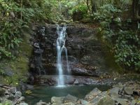 waterfall on the property